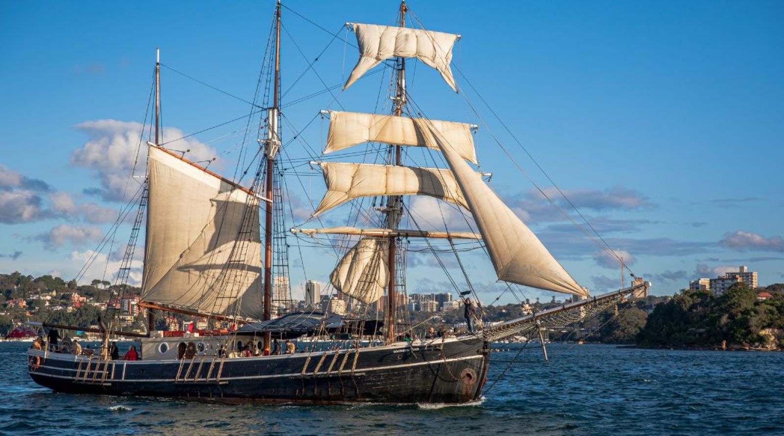 Tall Ships Sydney Harbour Cruise - Southern Swan