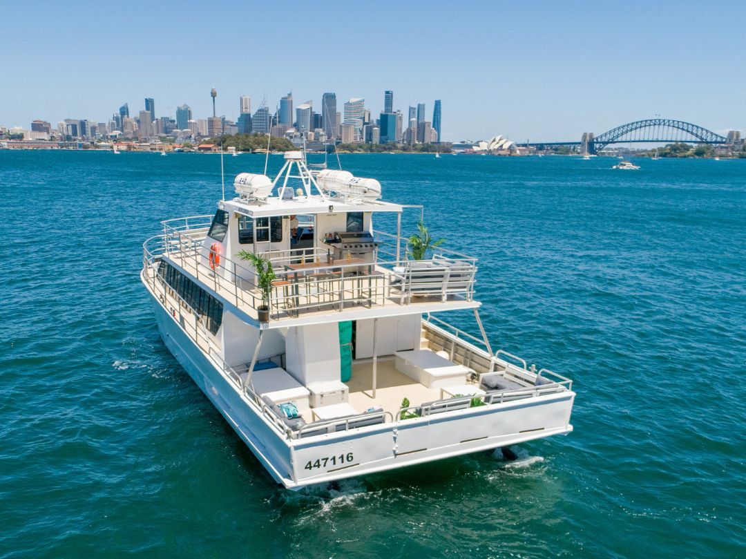 Whitehaven Catamaran Hire Sydney - Rear