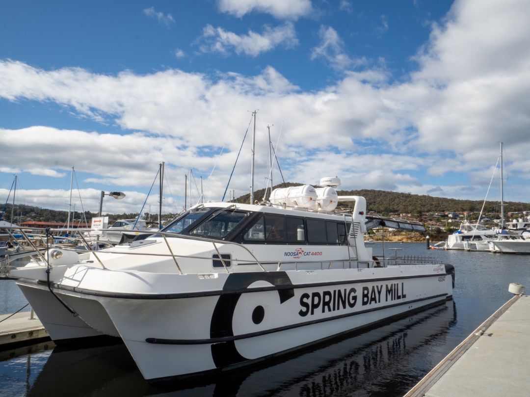 Monkey Business - Boat Hire Sydney