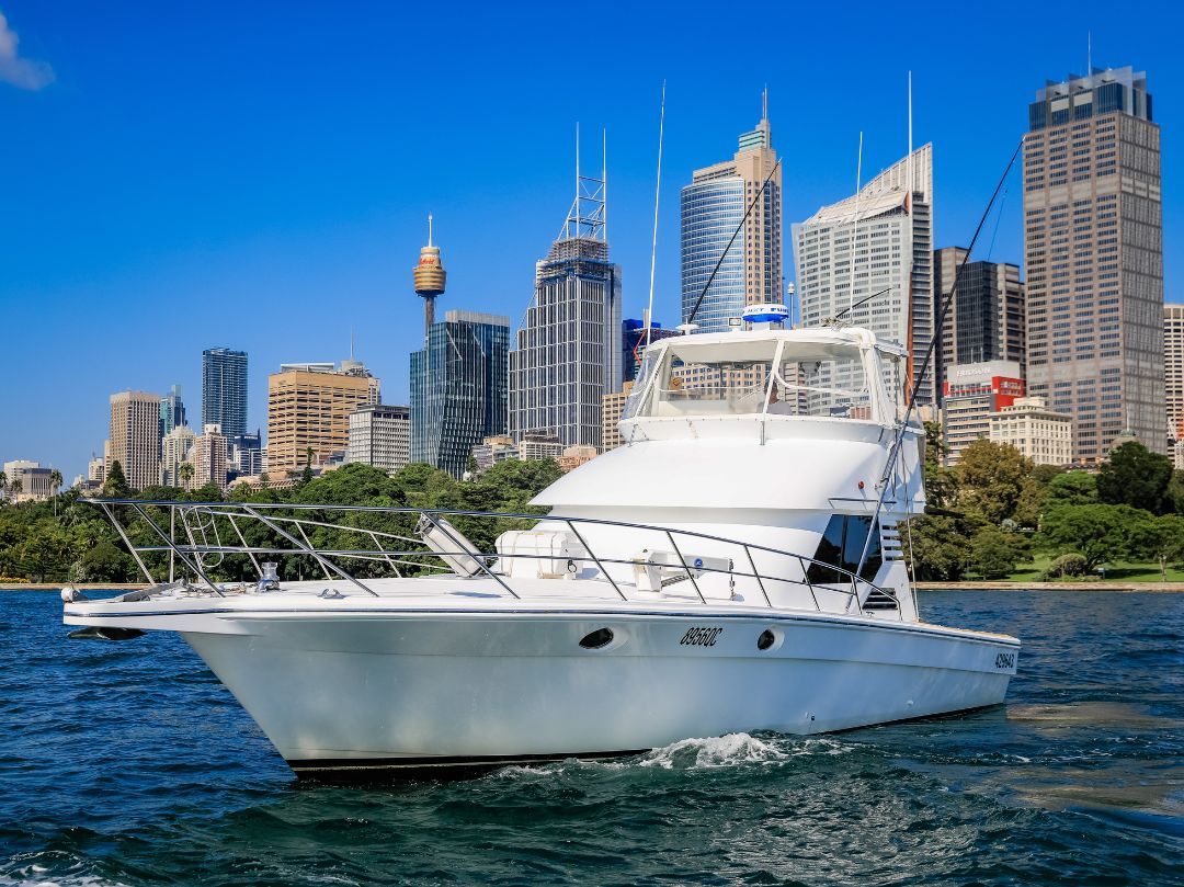 Shoki Boat Hire Sydney